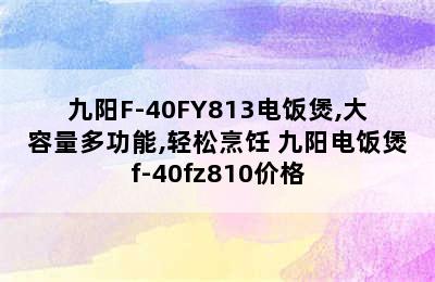 九阳F-40FY813电饭煲,大容量多功能,轻松烹饪 九阳电饭煲f-40fz810价格